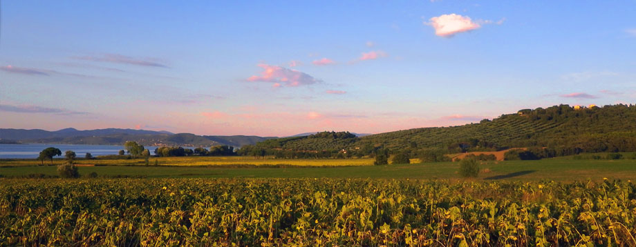 Country house in Umbria - Lago Trasimeno