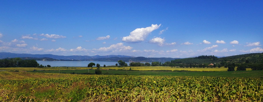 Country house in Umbria - Lago Trasimeno